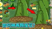 pvz2流言终结者 魔豆神器能种2颗在场上吗？