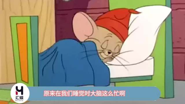 原来在我们睡觉时，大脑这么忙啊