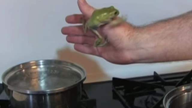 真实温水煮青蛙实验，竟然出现了2种结果