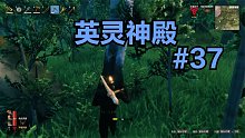 英灵神殿#37：故事的开始依然是大自然中的奔跑