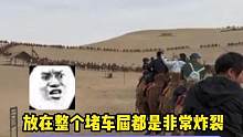 这堵的方向是我万万没想到的#五一 #堵车 #旅游 #骆驼 #万万没想到