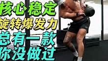 核心功能训练旋转爆发力练习推荐 #专业健身联盟 #运动表现 #核心训练 #功能训练 #旋转爆发力