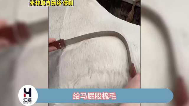 告诉隔壁修羊毛的，我今天不过去了