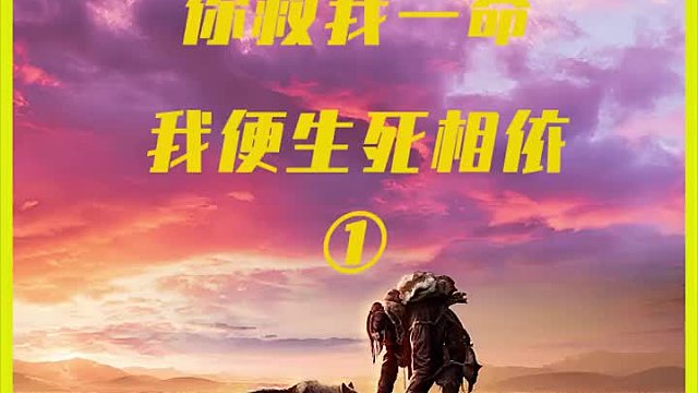 狼若回头，不是报恩，就是报仇！ 男孩救狼一命，狼护送男孩回家