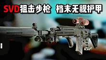 SVD狙击步枪 档末无视护甲 逃离塔科夫