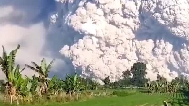 在火山灰上种植物能生长吗？