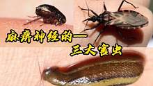 能麻痹神经的三大害虫