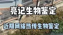 近期网络热传生物鉴定#亮记生物鉴定 #寒假充电计划