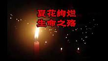 夏花绚烂生命之殇##医生#生命
