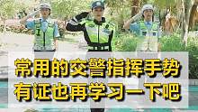了解交警手势，让你的征途平安启航！#交通安全 #政媒原创作者联盟 #交警手势 