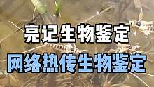 近期网络热传生物鉴定#亮记生物鉴定