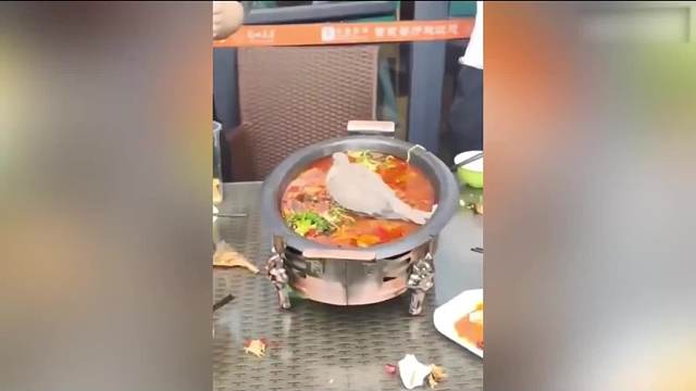 神奇动物在这里