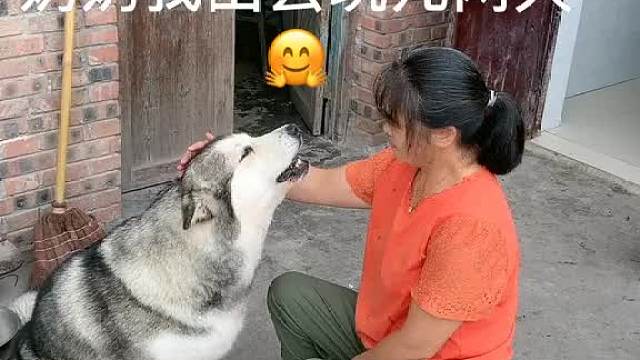 隔代亲，婆孙俩可舍不得了