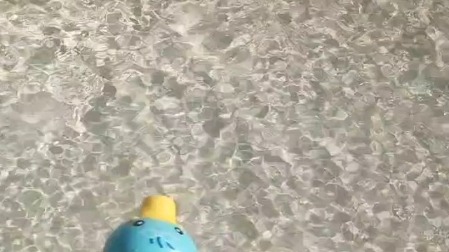 小鸭子游呀游呀游！