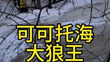 如果不是自己的亲身经历，你永远不会知道救援有多难！大家一定要敬畏大自然，视频记录了我们4.30自发救