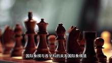 国际象棋与各学科之间的关系