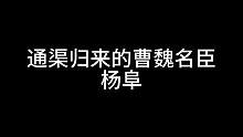 通渠归来的曹魏名臣——杨阜#三国杀移动版 #三国杀#三国