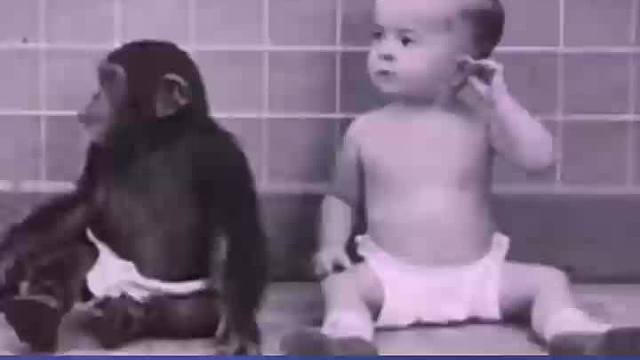 习性不会随着环境而改变