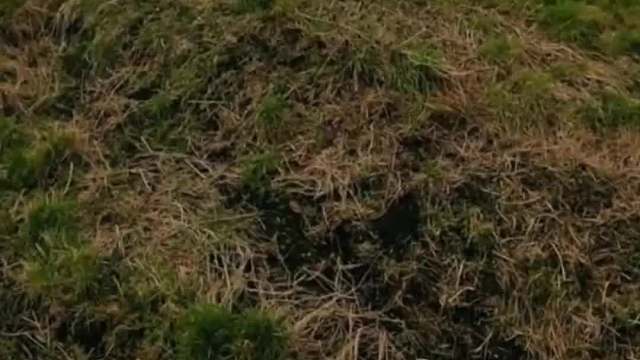 鼠鼠我啊，顺便体验了一下飞起来的感觉！