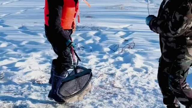 抖塔河哥俩合作抓鱼收获满满