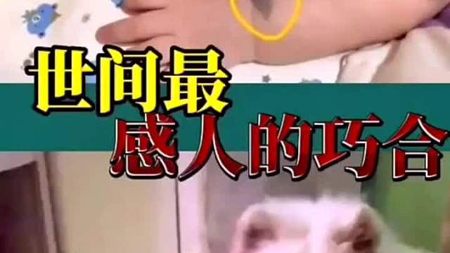 历史最感人的巧合