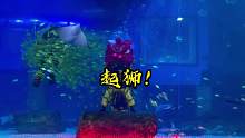 #创作灵感 #舞狮 #舞狮表演 #水下世界