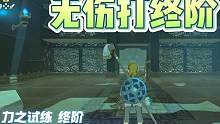 塞尔达传说｜无伤打终阶试练神庙，萌新必备技能#海拉鲁老流氓#塞尔达传说新手小技巧  #switch游