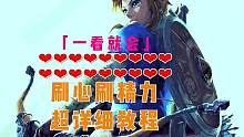 塞尔达旷野之息，卡BUG刷满心刷满体力超详细教程，一看就会了。 #塞尔达荒野之息