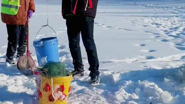 抖塔河哥俩合作冰窟窿抓鱼