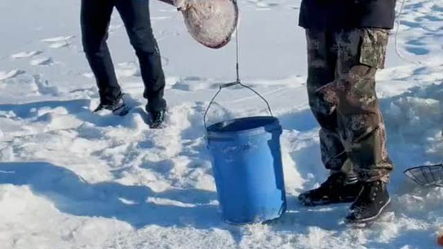 抖塔河哥俩合作冰窟窿抓鱼收获满满