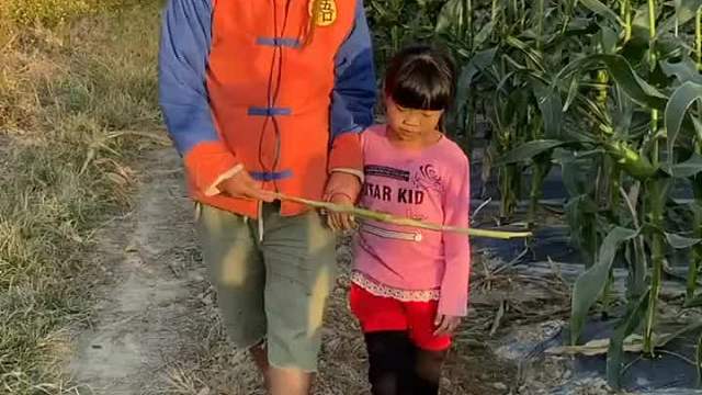 一条小小假鳄鱼