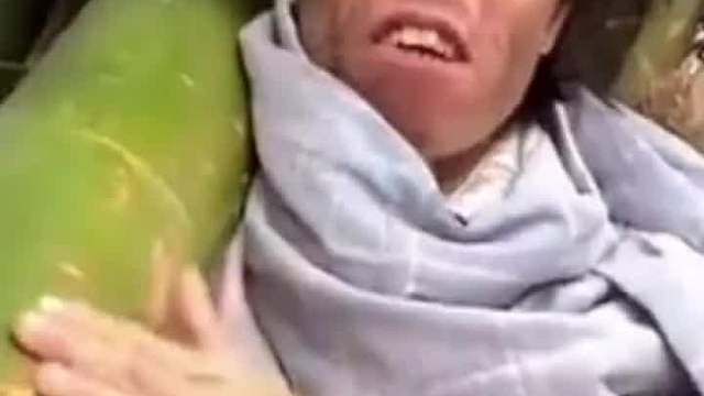 南方的朋友过来一下，看看我们北方的苹果。