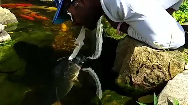 最不可思议的实验