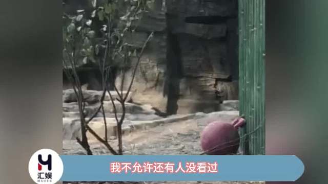 萌兰真的太可爱了，来晒晒你们手机里萌兰的照片~