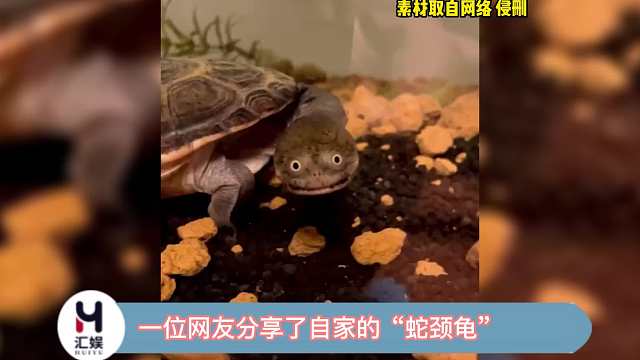 好怪，再看一眼