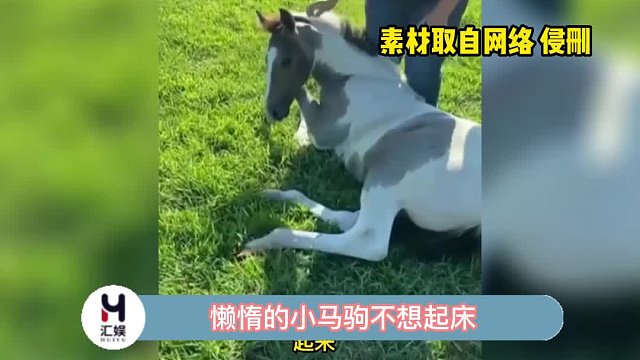 同一个世界，同一个妈，小马的妈妈也不例外啊！