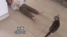 孩子把小猫的罐头给了流浪猫，小猫气不过把奥特曼扔在孩子的必经之路，孩子踩到奥特曼后滑倒大哭！#萌娃 