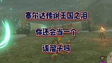 你还会在《塞尔达传说：王国之泪》当一个该溜子吗？#是谁的王国之泪已经玩上了 #塞尔达传说王国之泪 #