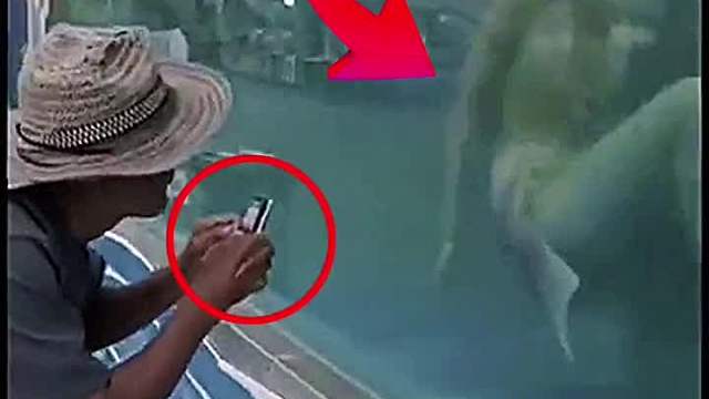 大爷神操作，最后一个才是王者 