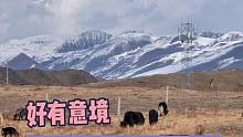 这波转折猝不及防！#搞笑 #聊天记录 #内容过于真实 #网友神评论