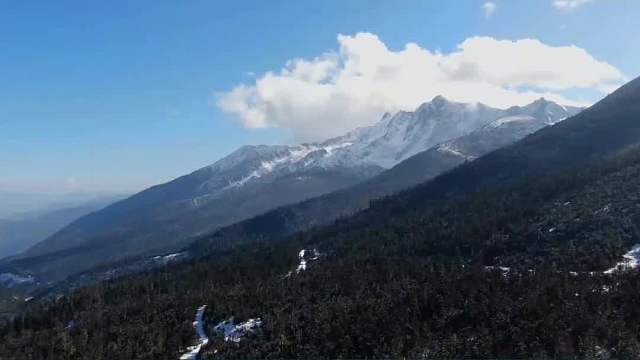 当遇到一个头戴斗笠身穿黄色雨衣的人为你指路， 千万不要跟着它
