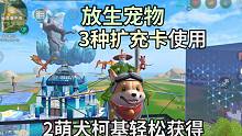 放生稀有宠物会发生啥？创造与魔法3种扩充卡使用，2萌犬柯基轻松获得