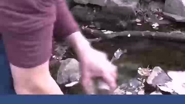 一瓶河水放置一年，竟然会变成一个罐中的生态系统