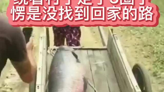 绕着村子走了3圈了，愣是没找到回家的路