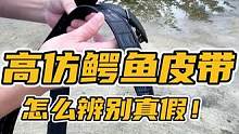 如何辨别高仿鳄鱼腰带！#谢#鳄鱼 #鳄鱼养殖场 #皮带