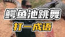 猜到是哪一个成语了嘛？#谢#鳄鱼 #鳄鱼养殖场 #跳舞