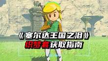 Q版织梦套获取指南！《塞尔达王国之泪》 #攻略 #塞尔达传说王国之泪 #塞尔达 #王国之泪