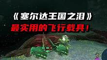 简单又实用的飞行器。《塞尔达王国之泪》 #攻略 #塞尔达传说 #塞尔达传说王国之泪 #塞尔达