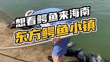 想看鳄鱼来海南东方鳄鱼小镇#鳄珍 #鳄鱼