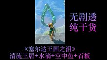 《塞尔达王国之泪》清流王居、水滴、空鱼之地、断裂的石碑